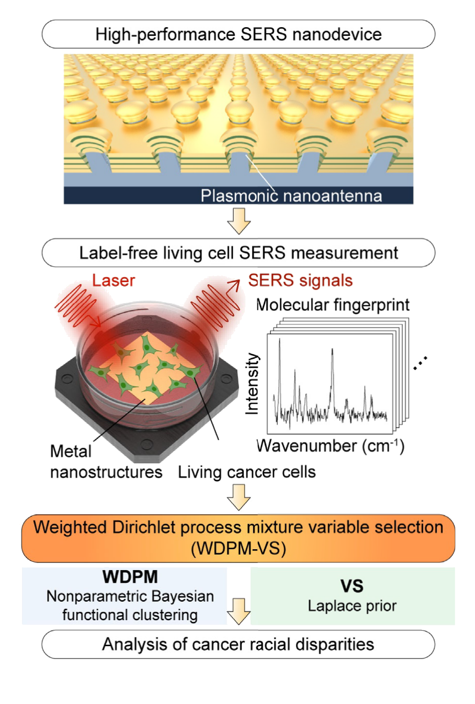 Representative image for Nonparametric Bayesian functional clustering with applications to racial disparities in breast cancer
