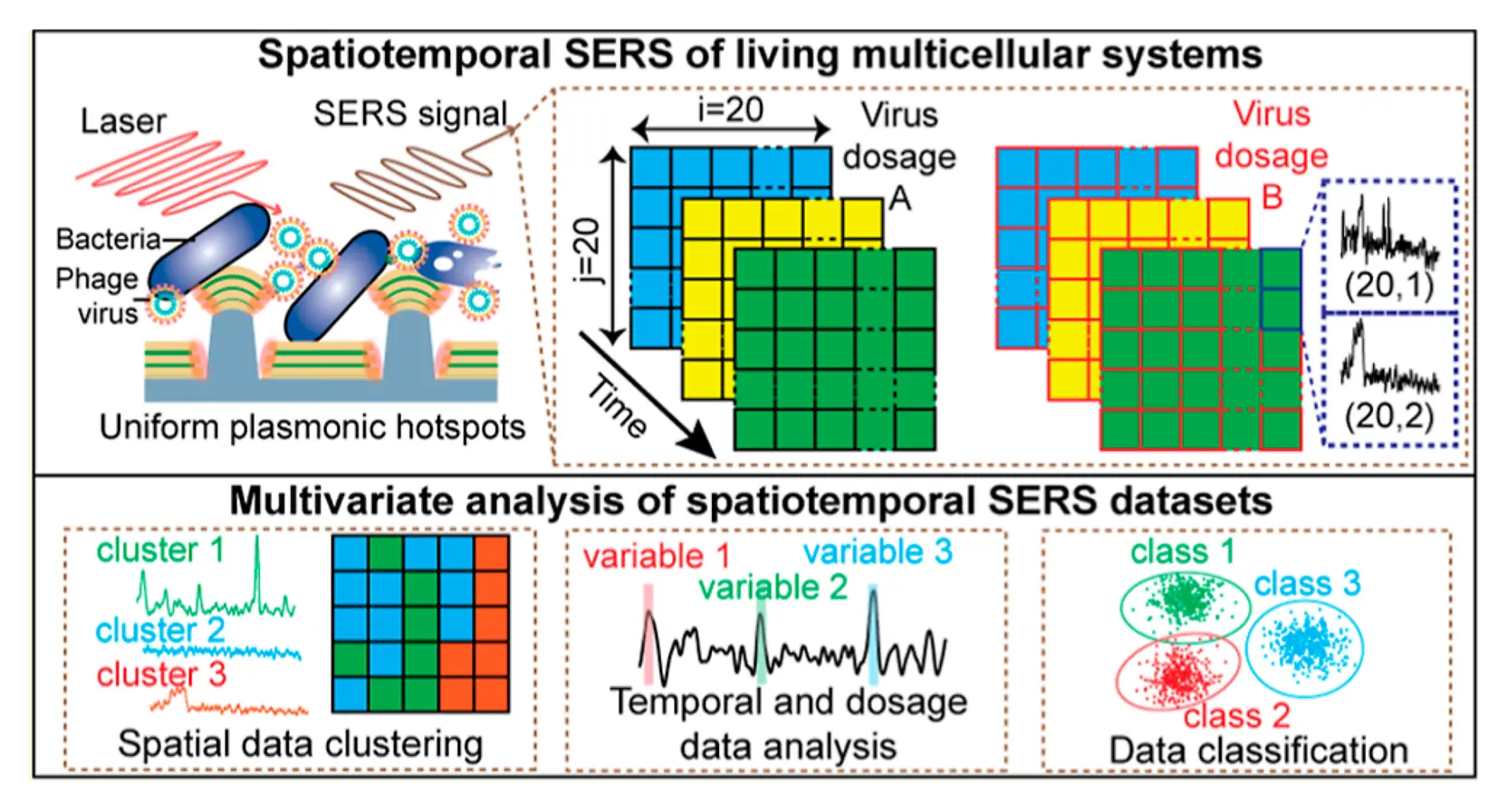Representative image for In situ spatiotemporal SERS measurements and multivariate analysis of virally infected bacterial biofilms using nanolaminated plasmonic crystals