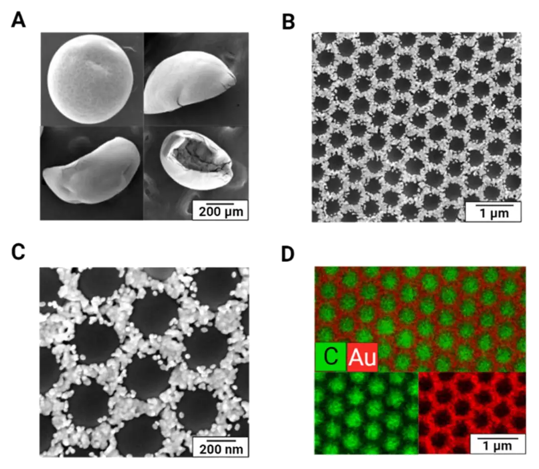 Representative image for Highly porous gold supraparticles as surface-enhanced Raman spectroscopy (SERS) substrates for sensitive detection of environmental contaminants