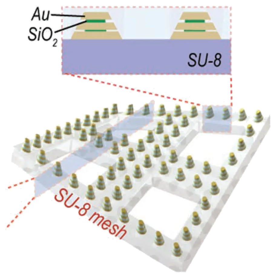 Representative image for Biomimetic Transparent Nanoplasmonic Meshes by Reverse-Nanoimprinting for Bio-Interfaced Spatiotemporal Multimodal SERS Bioanalysis