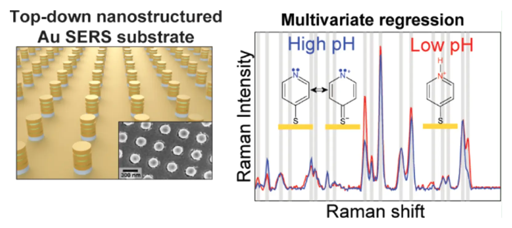 Representative image for Nanostructured Au-Based Surface-Enhanced Raman Scattering Substrates and Multivariate Regression for pH Sensing