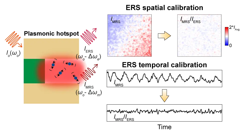 Representative image for Plasmonic electronic Raman scattering as internal standard for spatial and temporal calibration in quantitative surface-enhanced Raman spectroscopy