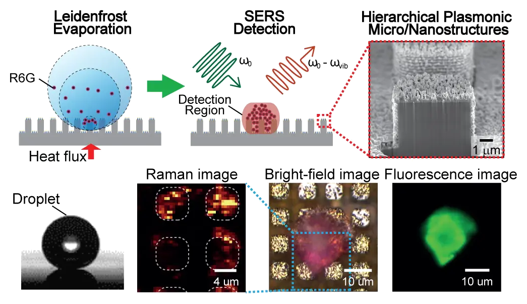 Representative image for Partial Leidenfrost evaporation-assisted ultrasensitive surface-enhanced Raman spectroscopy in a Janus water droplet on hierarchical plasmonic micro-/nanostructures